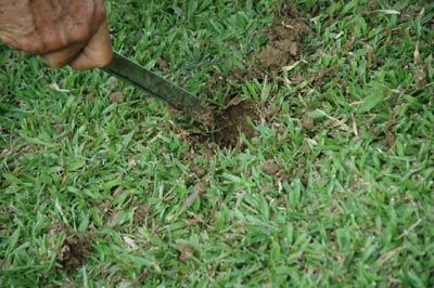 agolf4.jpg