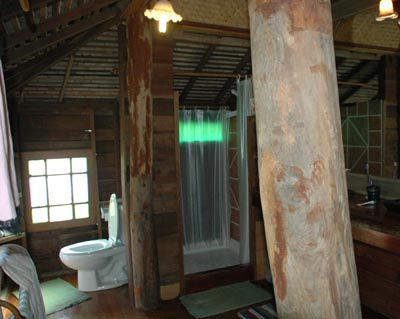 b-timber-house-6.jpg