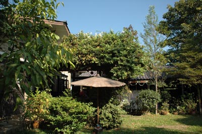 b-timber-house-9.jpg