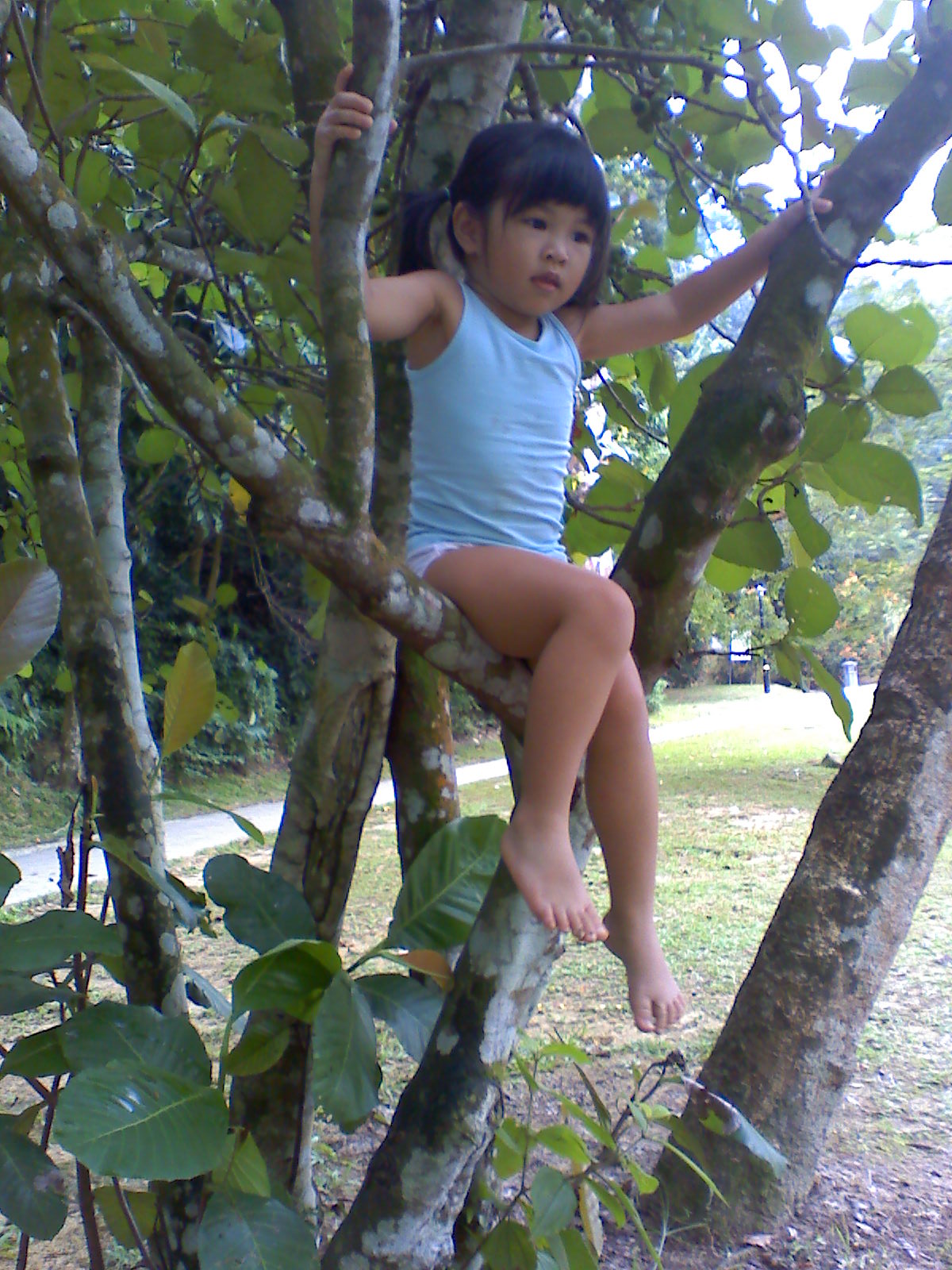 img245.jpg