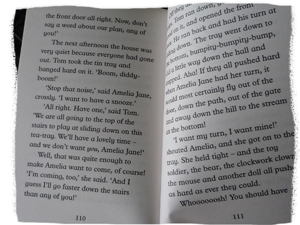 amelia-jane-book-1 amelia-jane-book-1