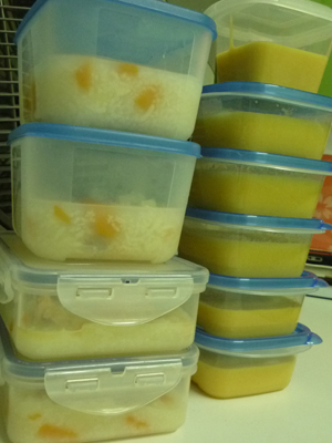 frozen-baby-food-1 frozen-baby-food-1