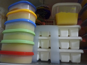 frozen-baby-food-2 frozen-baby-food-2