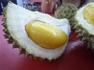 durian-2 durian-2
