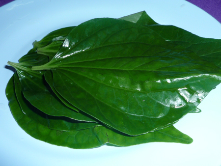 Thai Leaves
