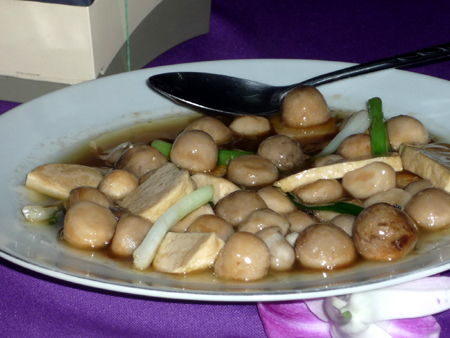 Thai Tofu