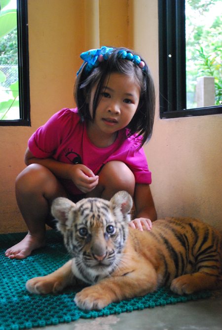 T patting Tiger Cub