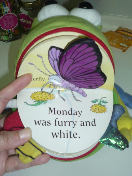 Frog Book 3