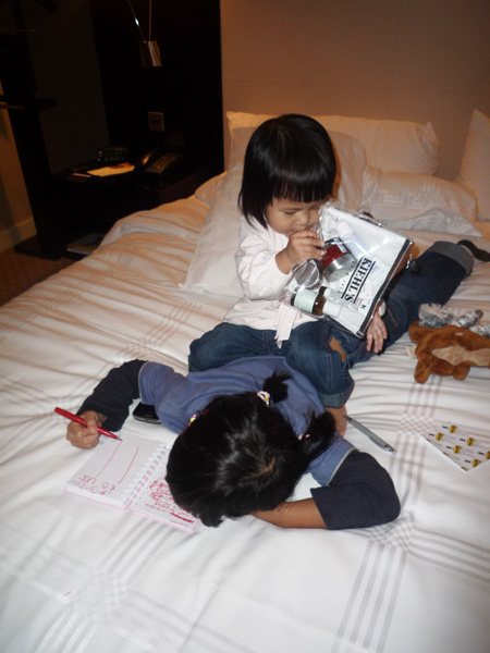 Westin Hotel 2