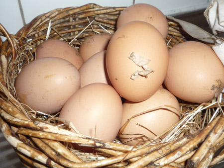 Eggs 2