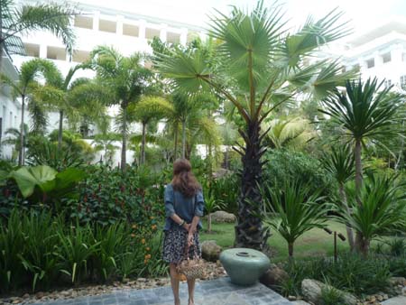 d014 garden