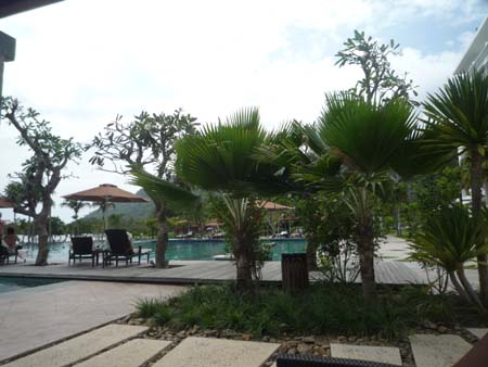 d028 pool