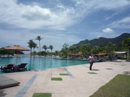 d036 pool