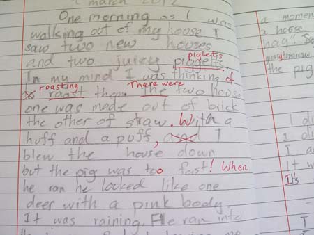 Essay