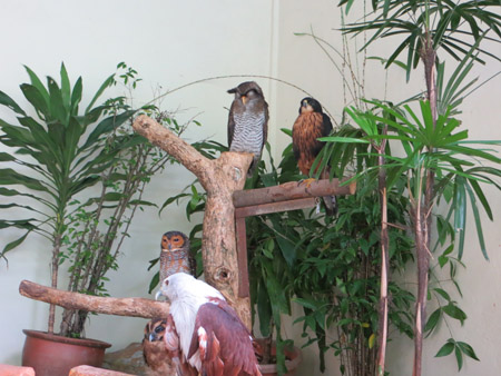 Bird Park 1