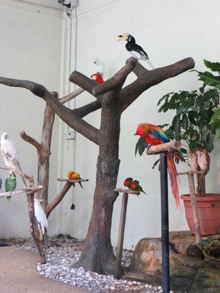 Bird Park 2