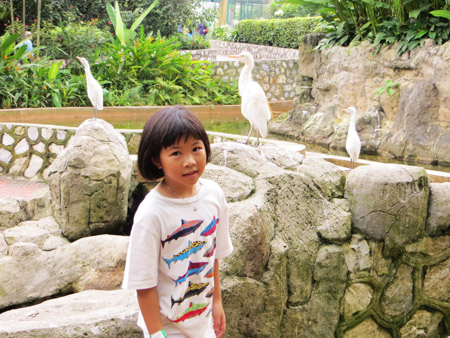 Bird Park 22