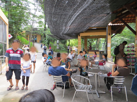 Bird Park 3