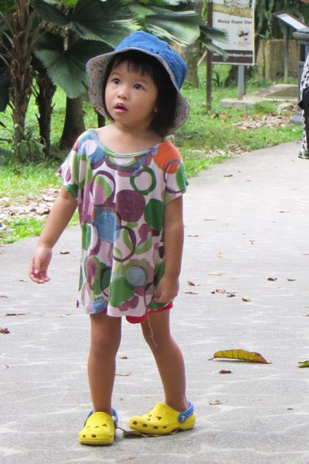 Bird Park 5