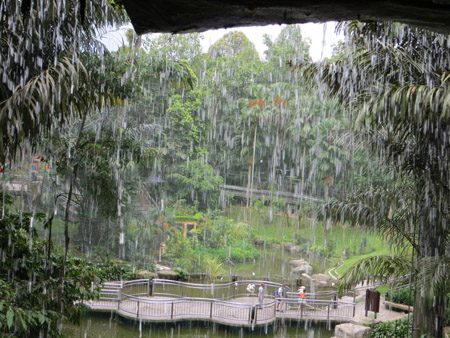 Bird Park 9