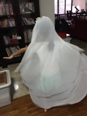 Bride's Veil 2